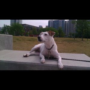 Meet your Posher, Irina